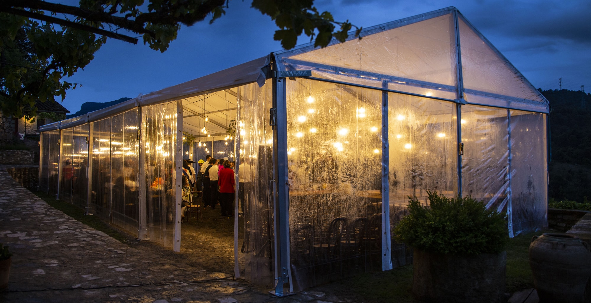 Carpas Transparente