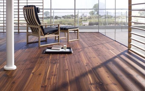 ¿Cuál es la mejor tarima para tu casa? Guía completa para elegir suelo laminado o de madera