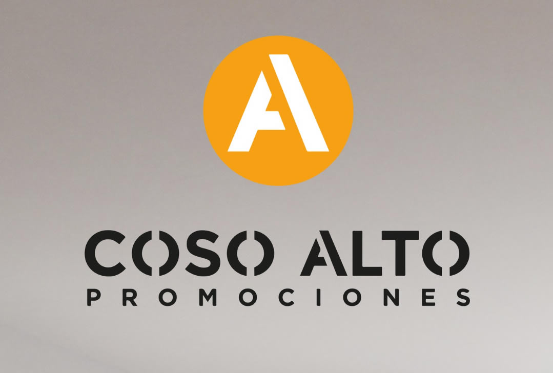 PROMOTORA INMOBILIARIA ZARAGOZA