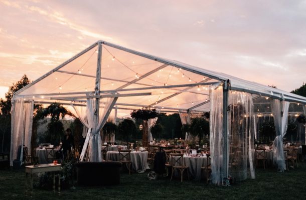 distintos tipos de carpas